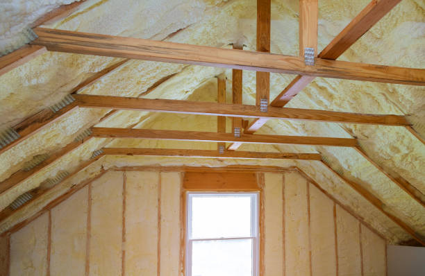 Best Residential Insulation in Black Diamond, WA