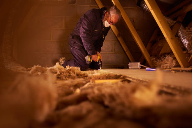 Best Residential Insulation in Black Diamond, WA